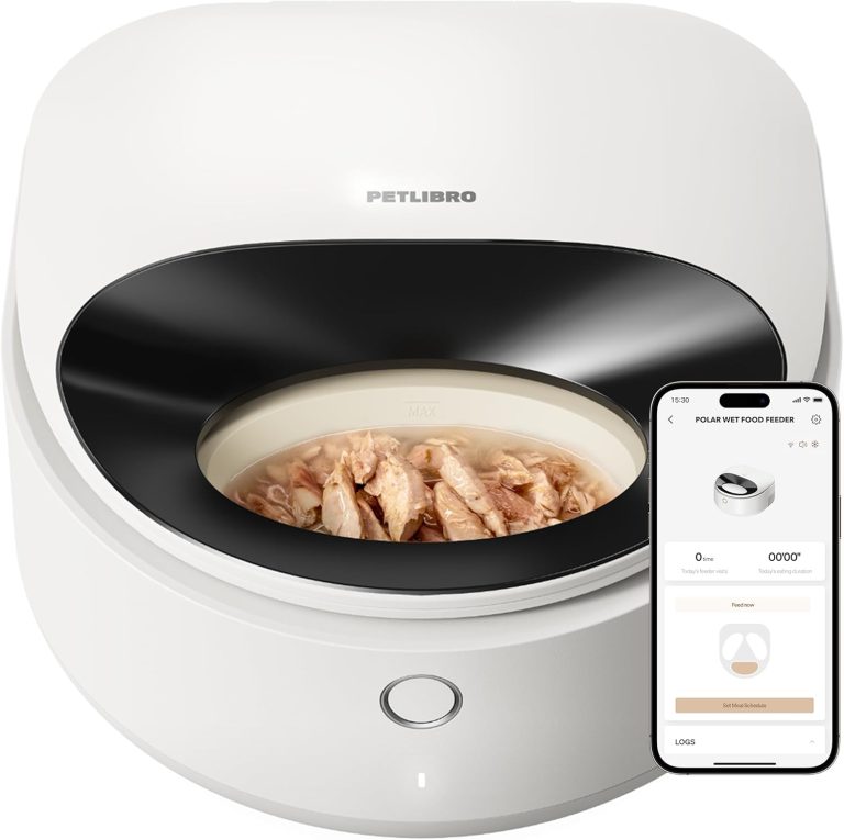 CATLINK automatic cat feeder review 2026 - smart feeder with stainless steel bowl and app control