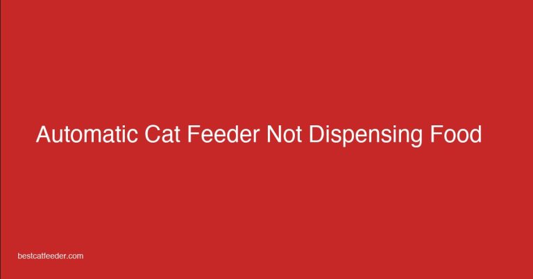Troubleshooting automatic cat feeder not dispensing food - repair guide