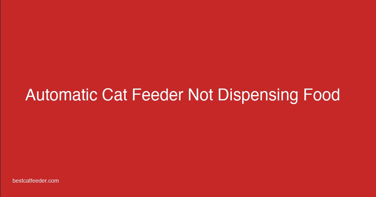 Troubleshooting automatic cat feeder not dispensing food - repair guide