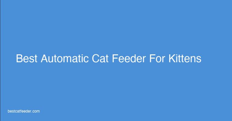 Best automatic cat feeder for kittens featuring small portions and stainless steel bowls for healthy growth