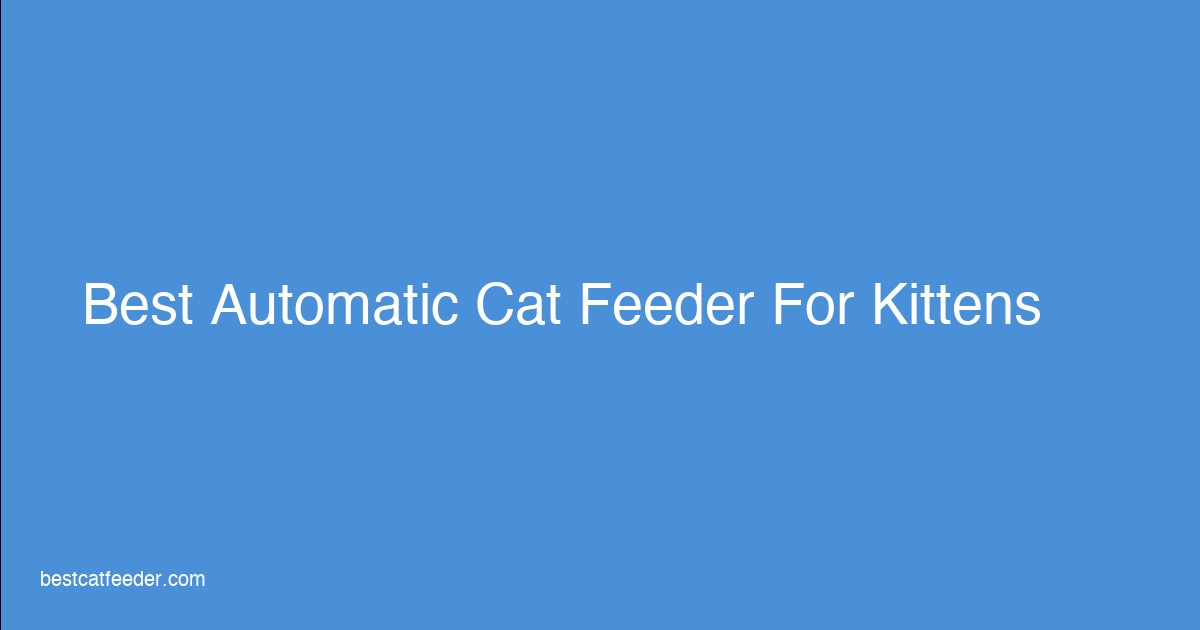 Best automatic cat feeder for kittens featuring small portions and stainless steel bowls for healthy growth