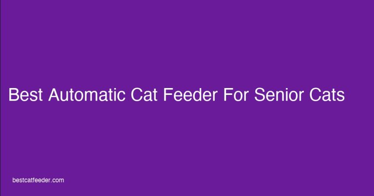 Best automatic cat feeder for senior cats featuring low-entry bowls and raised options for aging cats with arthritis