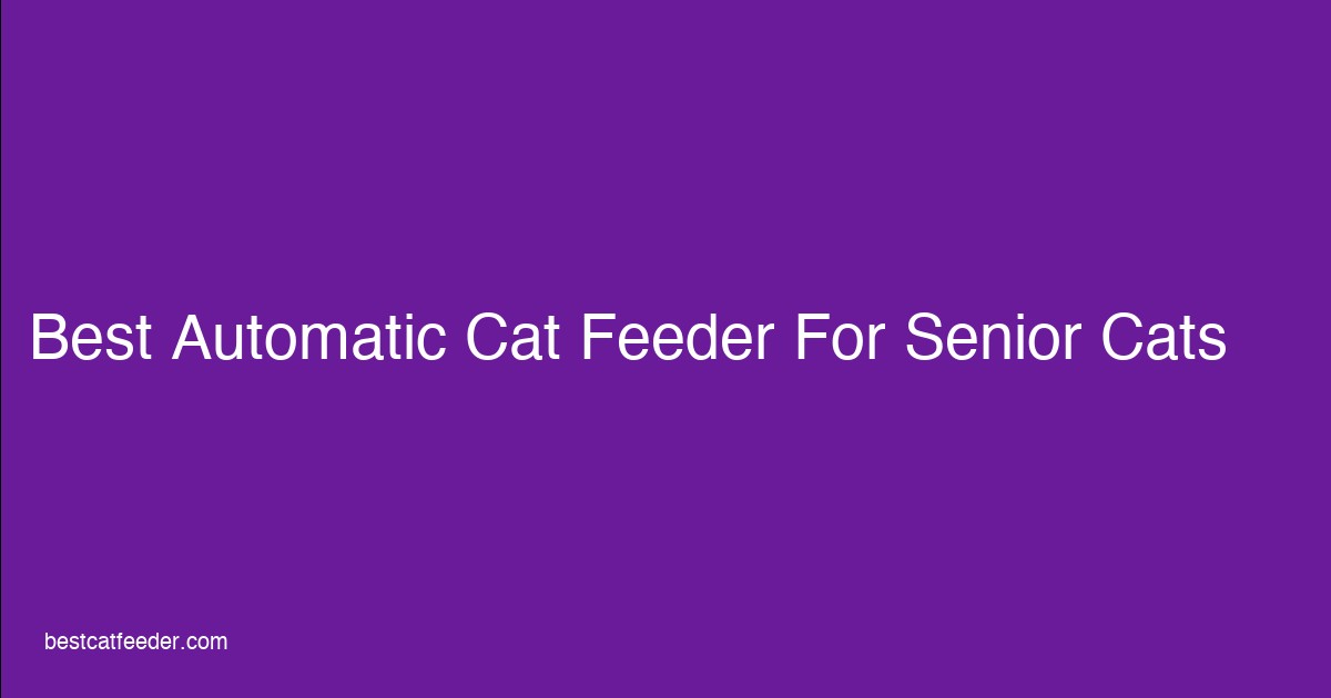 Best automatic cat feeder for senior cats featuring low-entry bowls and raised options for aging cats with arthritis