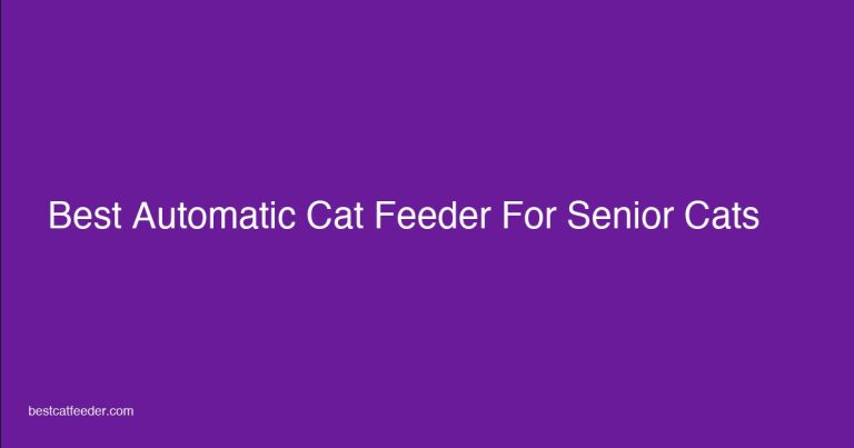 Senior cat eating from automatic feeder - arthritis friendly feeder guide