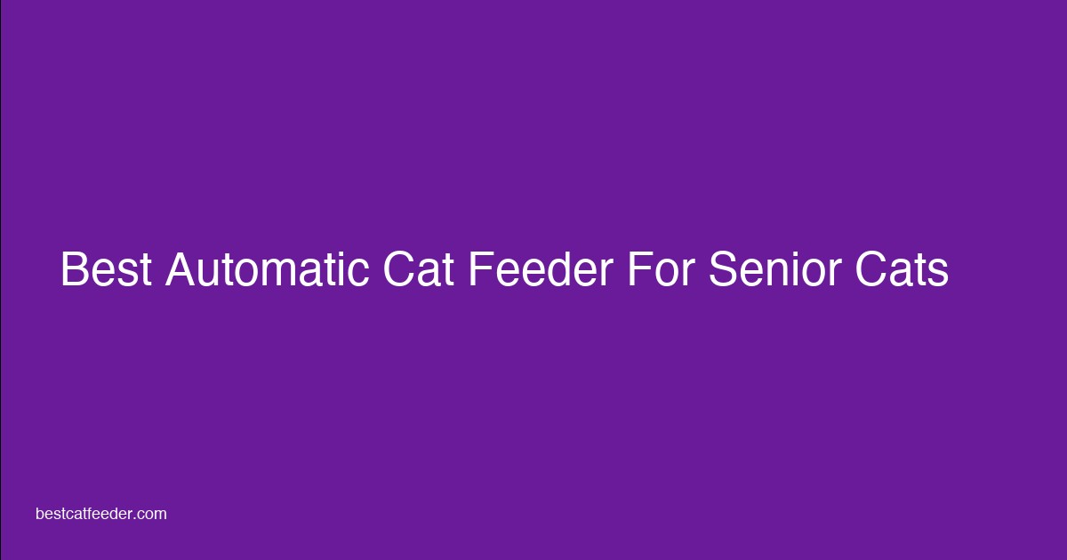 Senior cat eating from automatic feeder - arthritis friendly feeder guide