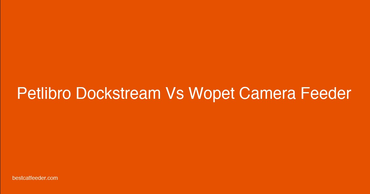 PETLIBRO DockStream vs WOPET 6L camera cat feeder comparison