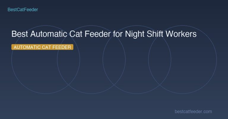 Best automatic cat feeder for night shift workers feeding schedule tips 2026