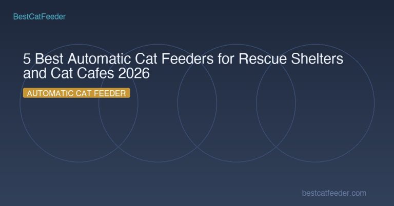 5 Best Automatic Cat Feeders for Rescue Shelters and Cat Cafes 2026 - BestCatFeeder.com