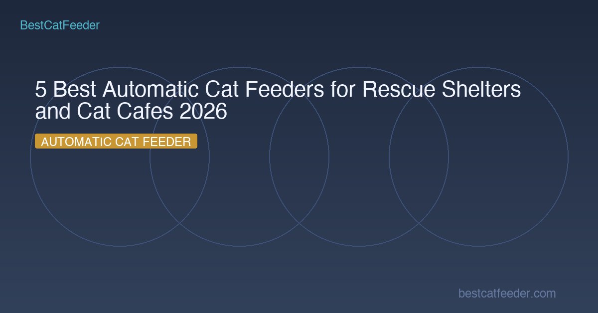 5 Best Automatic Cat Feeders for Rescue Shelters and Cat Cafes 2026 - BestCatFeeder.com