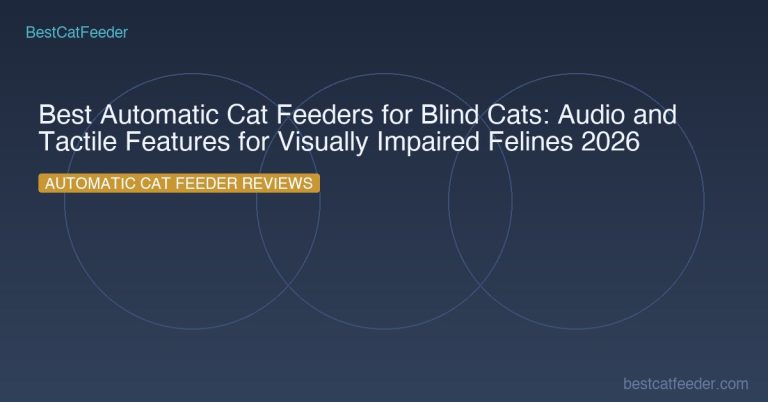 Best Automatic Cat Feeders For Blind Cats Audio Tactile Features Visually Impaired Felines