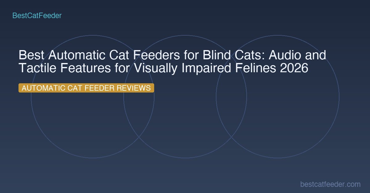 Best Automatic Cat Feeders For Blind Cats Audio Tactile Features Visually Impaired Felines