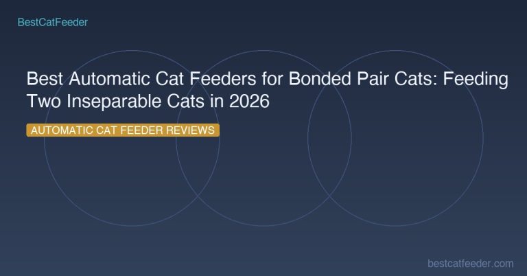 Best Automatic Cat Feeders For Bonded Pair Cats Feeding Two Inseparable Cats