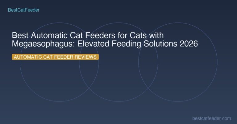 Best automatic cat feeder elevated for cats with megaesophagus — raised platform feeding position for upright eating to prevent regurgitation