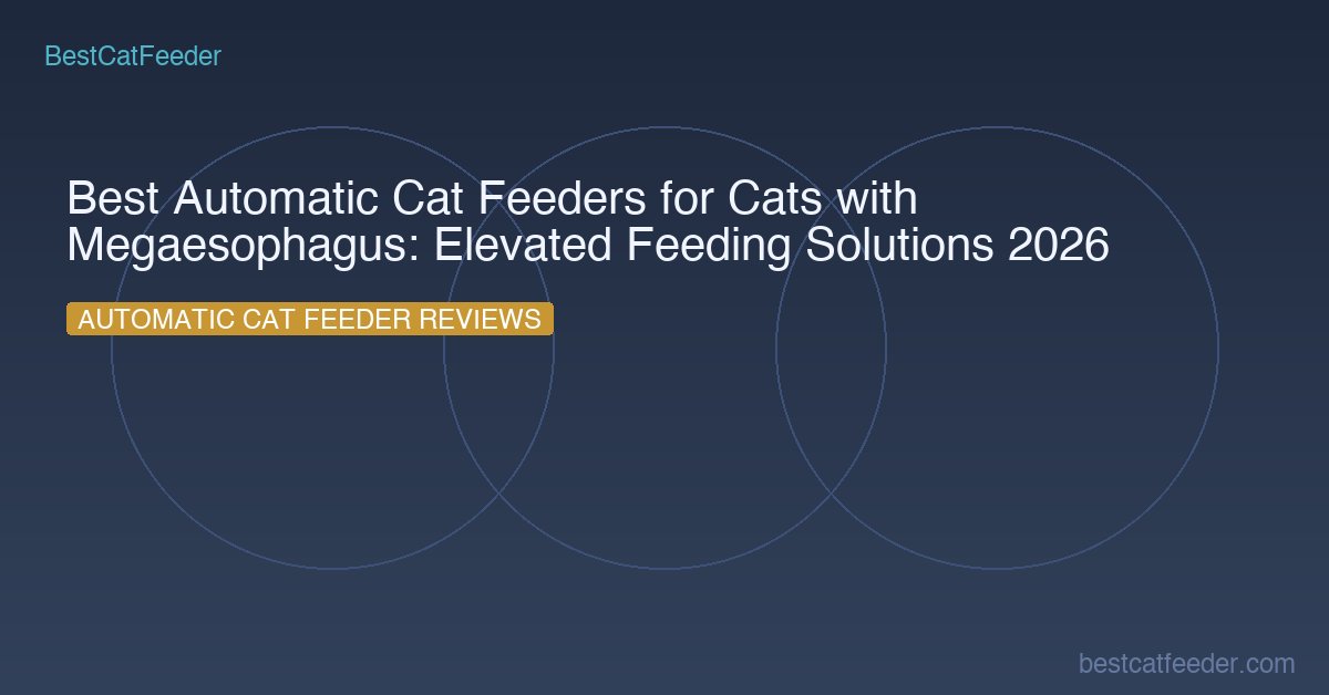 Best automatic cat feeder elevated for cats with megaesophagus — raised platform feeding position for upright eating to prevent regurgitation