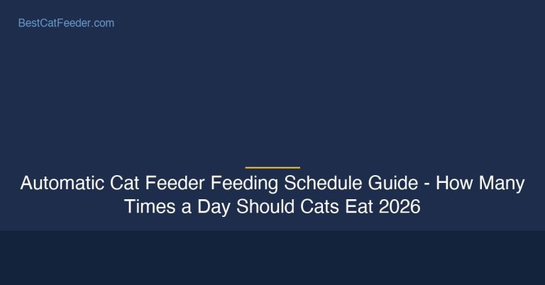 Automatic cat feeder feeding schedule guide - BestCatFeeder.com