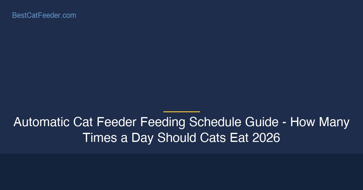 Automatic cat feeder feeding schedule guide - BestCatFeeder.com