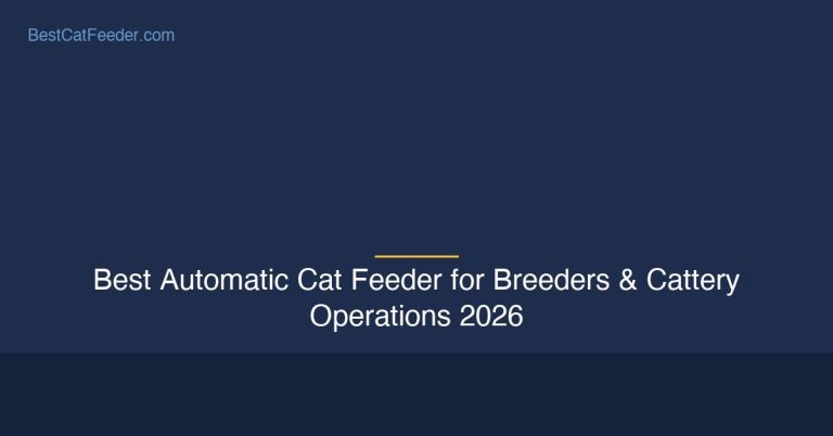Best automatic cat feeder for breeders and cattery operations - Professional-grade feeding for multi-cat facilities