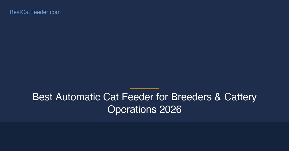 Best automatic cat feeder for breeders and cattery operations - Professional-grade feeding for multi-cat facilities