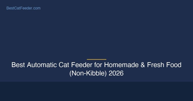 Best automatic cat feeder for homemade and fresh food non-kibble - BestCatFeeder.com