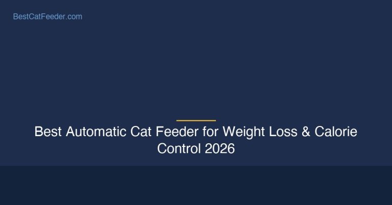 Best automatic cat feeder for weight loss and calorie control - BestCatFeeder.com