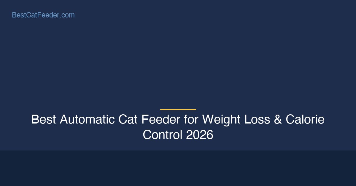 Best automatic cat feeder for weight loss and calorie control - BestCatFeeder.com