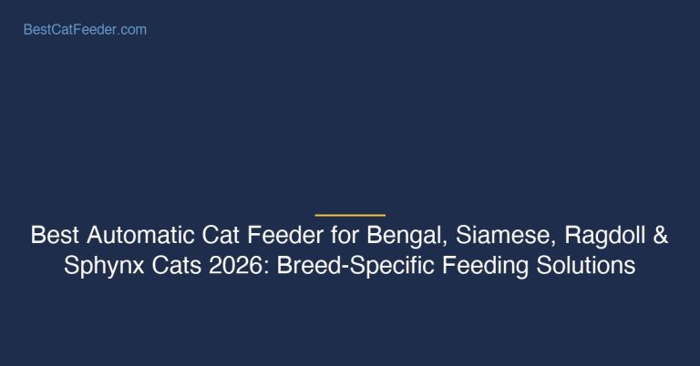 Best automatic cat feeder for bengal siamese ragdoll sphynx cats breed specific feeding solutions - BestCatFeeder.com