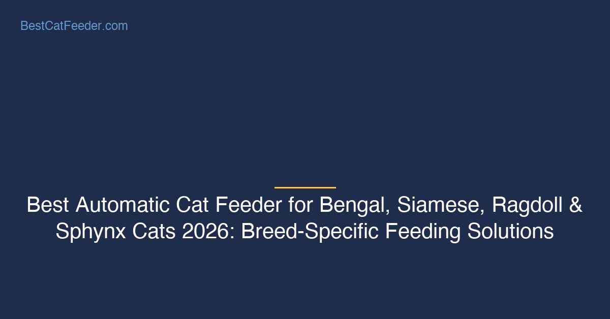 Best automatic cat feeder for bengal siamese ragdoll sphynx cats breed specific feeding solutions - BestCatFeeder.com