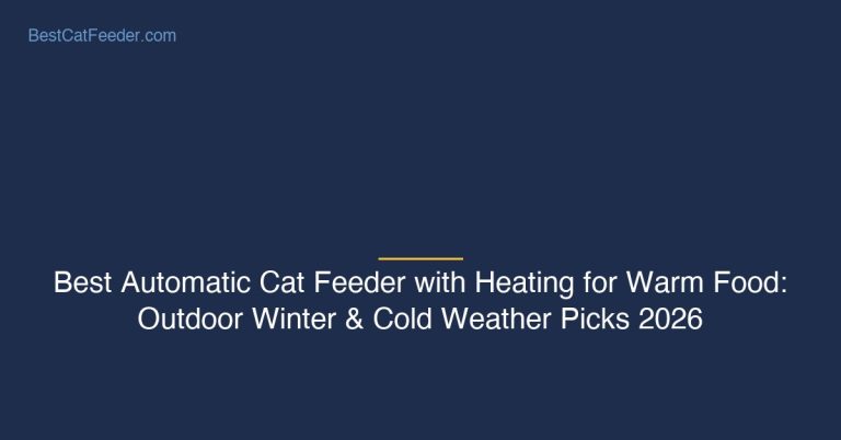 Best automatic cat feeder with heating and warm food features for outdoor winter and cold weather use - BestCatFeeder.com