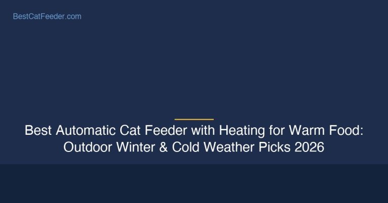 Best automatic cat feeder with heating and warm food features for outdoor winter and cold weather use - BestCatFeeder.com