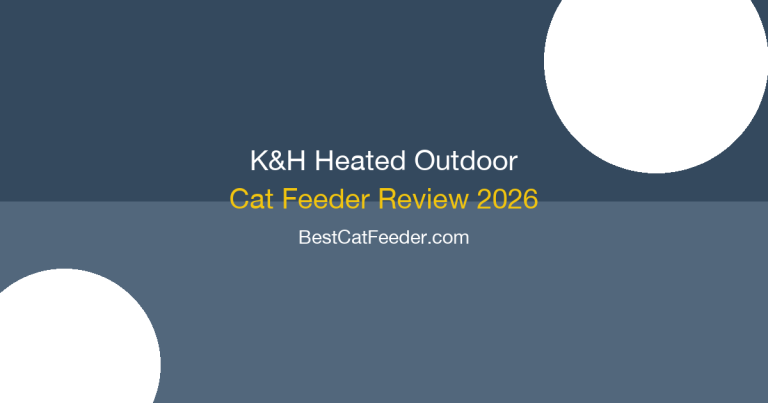 K and H PET Products Heated Outdoor Cat Feeder review with winter testing and feral cat feeding solutions