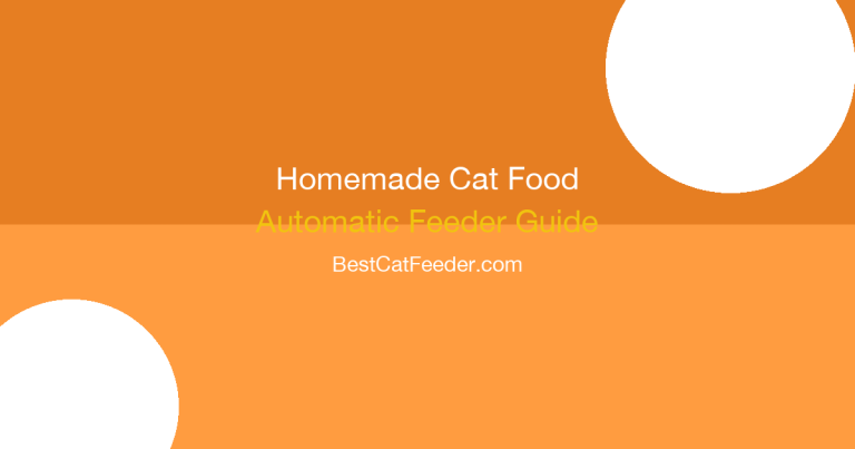 Best automatic cat feeder for homemade and fresh cat food guide keeping home-prepared meals fresh and safe