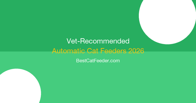 Veterinarian recommended automatic cat feeders expert guide with vet-approved feeding solutions for cat health