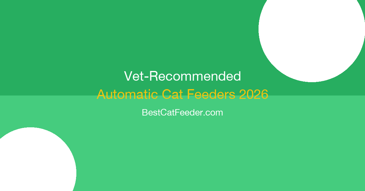 Veterinarian recommended automatic cat feeders expert guide with vet-approved feeding solutions for cat health