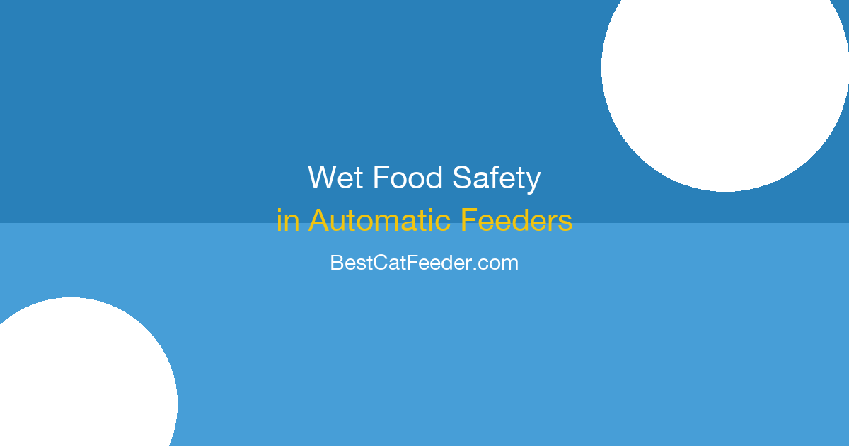 Safety guide for how long wet cat food can stay in automatic feeder with spoilage timelines and brand recommendations